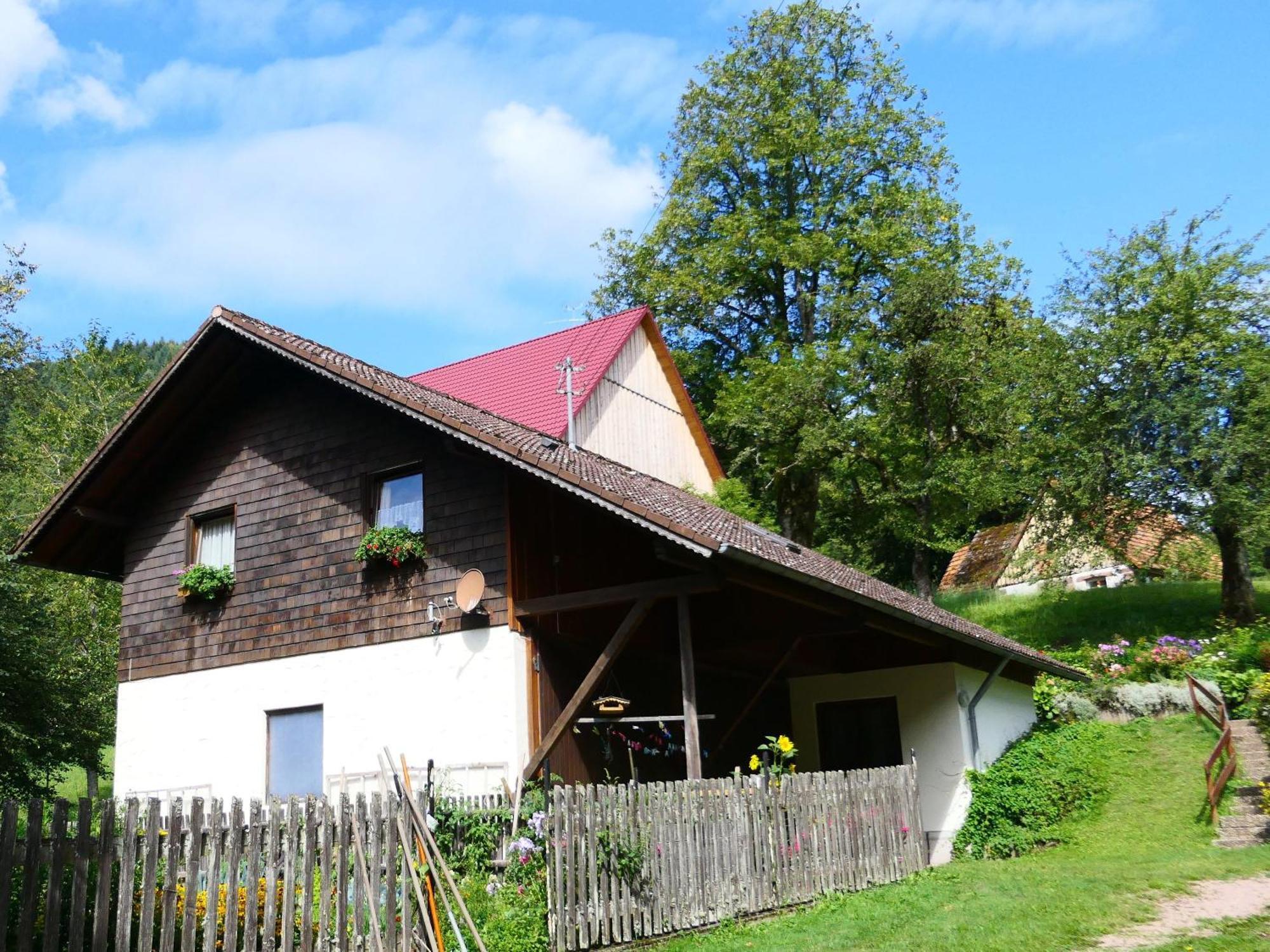 Апартаменты Untermetzgersbauernhof Альпирсбах Экстерьер фото
